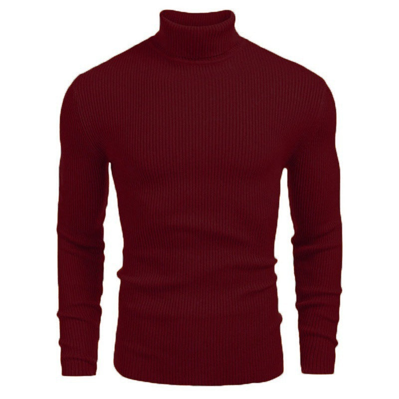 Pull à manches longues à col roulé slim pour homme