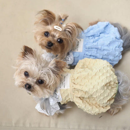 Vêtements pour animaux de compagnie, jupe à bretelles de couleur contrastée