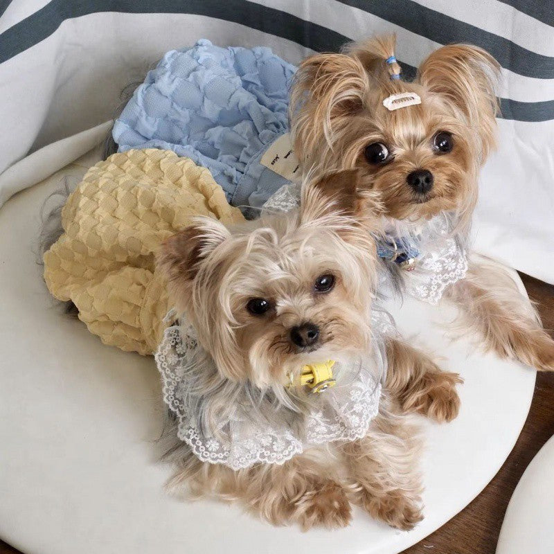 Vêtements pour animaux de compagnie, jupe à bretelles de couleur contrastée