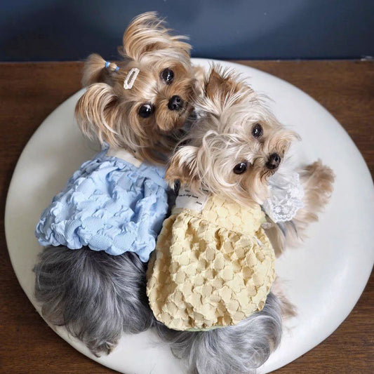Vêtements pour animaux de compagnie, jupe à bretelles de couleur contrastée