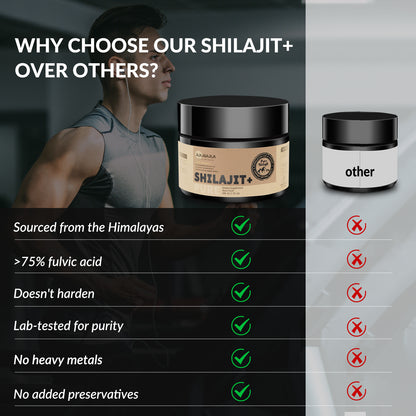 ROLI & ROLA Shilajit Résine 50g